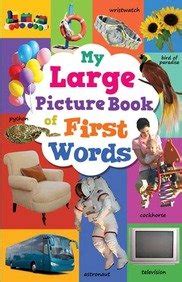 Amazon.in: Buy My Large Picture Book: First Words Book Online at Low ...