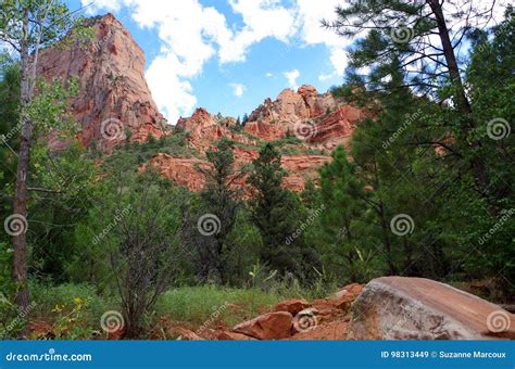 Taylor Creek, Kolob Canyons, Zion National Park, Utah Stock Image ...