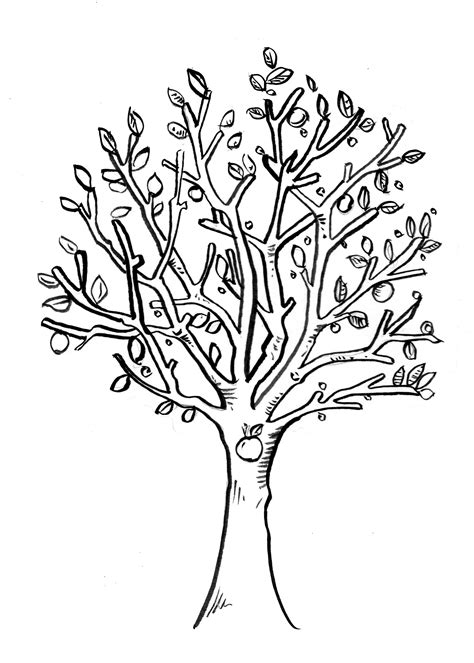 Image result for Simple Apple Tree Drawing