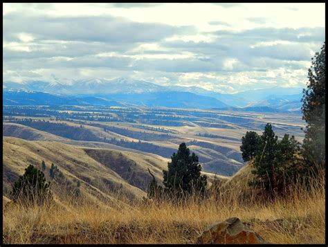 The Back Porch View: A Long Winters Night - Sheltering in White Bird Idaho
