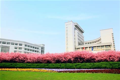 上海大学认可度怎么样,上海大学名声好吗,校园风光_大山谷图库