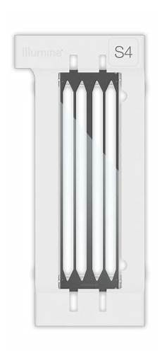 flow cell illumina illumina releases novaseq s4 flow cell and novaseq xp flow cell illumina illumina releases novaseq s4 flow cell and novaseq xp
