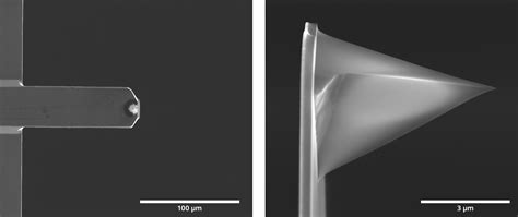 Image result for SPM Tutorial