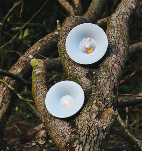 Image result for Vortex Light