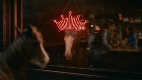 Super Bowl Beer Commercial 的图像结果