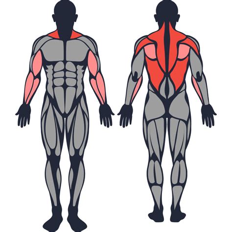 How to Do Dumbbell Row: Muscles Worked & Proper Form – StrengthLog