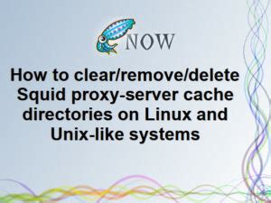 Image result for Squid Cache