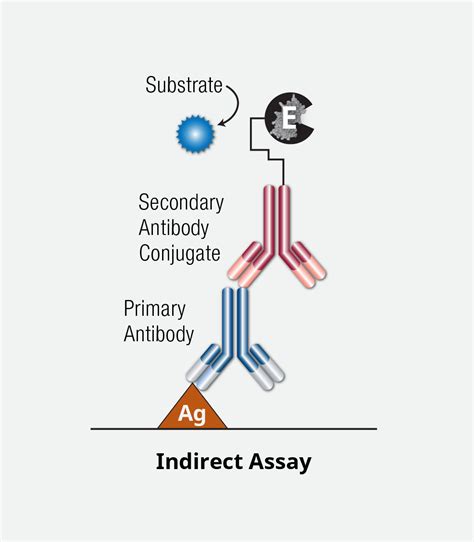 Image result for Elisa Method