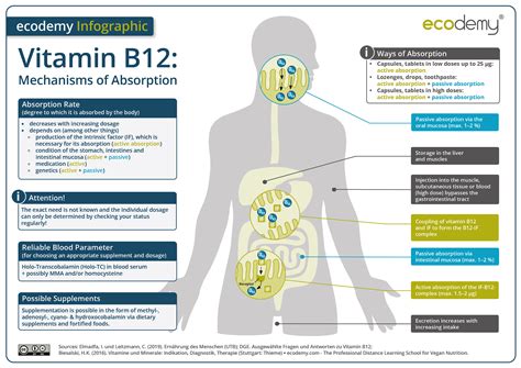 What Happens If Vitamin B12 Is High