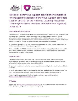 Fillable Online Behaviour support plan - section 28 form. Reportable ...