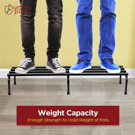 Buy Urban Plant Metal Pot Stand - Shop Online at Best Price!