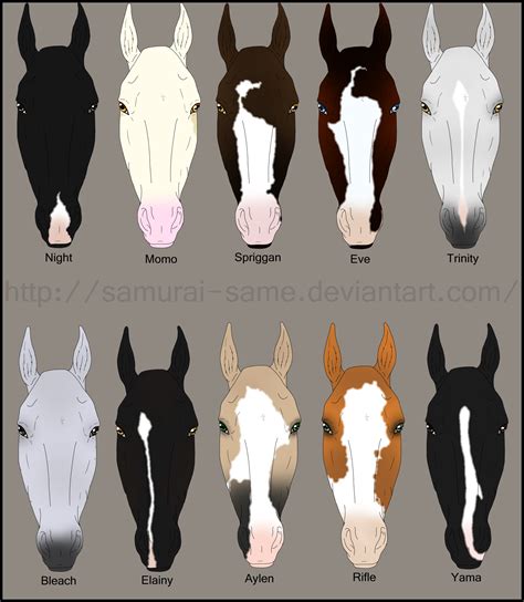 Face markings | Horse markings, Horse coat colors, Horse breeds