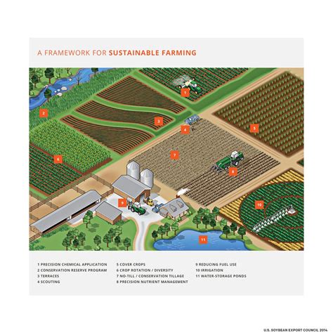 A framework for Sustainable Farming Infographic - U.S. Soy