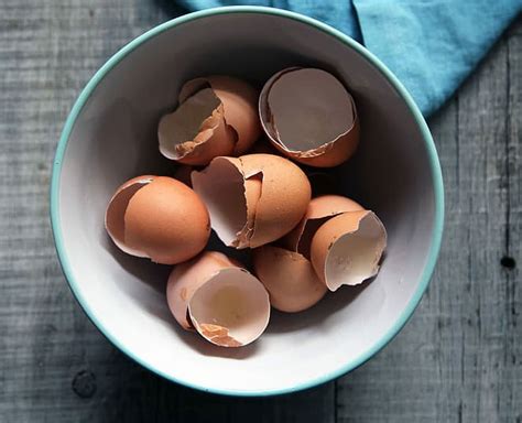 Stop Throwing Eggshells, Instead Use Them Different Ways In Your House ...