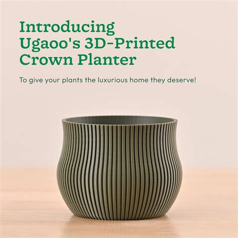 Crown Planter – Ugaoo