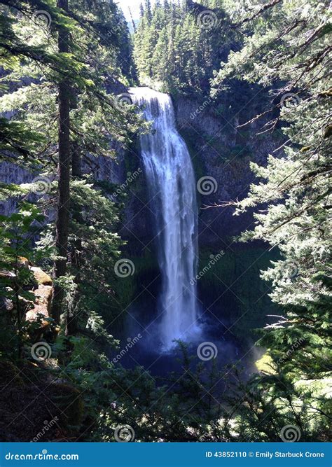 Salt Creek Falls in Oregon stock photo. Image of roaring25 - 43852110