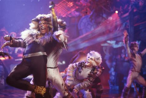 Cats on Screen - Cats the Musical | Cat movie, Cats cast, Pretty cats