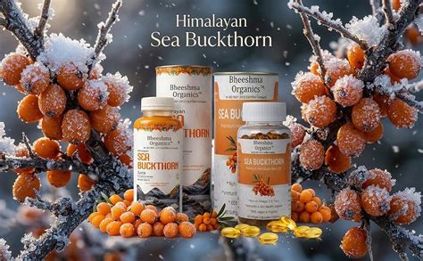 Bheeshma Organics Himalayan Sea Buckthorn Juice 300ml + Sea Buckthorn ...