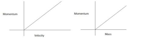 Represent the following graphically .(1) momentum Vs velocity when ...