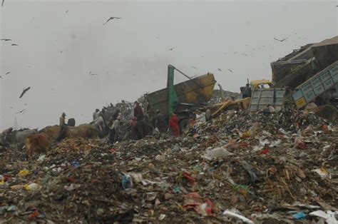 India Waste Problem 的图像结果