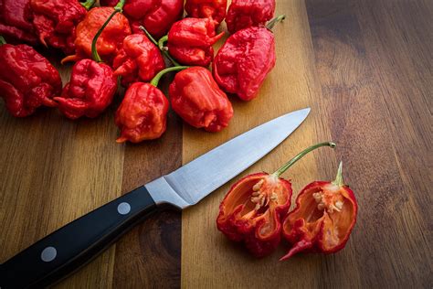 Top 10 Hottest Peppers on the Scoville Scale (2025)
