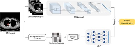 Basic Working of Deep Learning Architecture 的图像结果