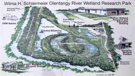 In Ohio, Learning the Importance of Wetlands and the Great Black Swamp