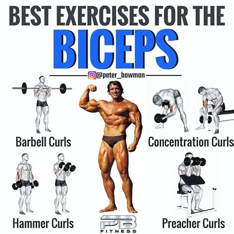 Bicep and tricep workout image by Brandon on Exercises | Biceps workout ...