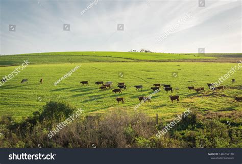 Extensive Farming 的图像结果