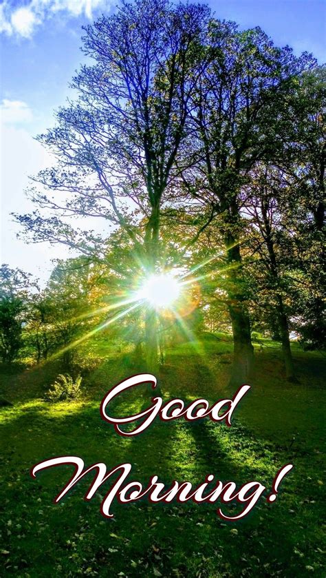 Good morning gif good morning goodmorning discover share gifs – Artofit