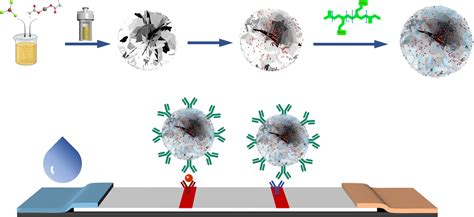 A Sensitive Immunochromatographic Test Strip Based on Hydrophobic ...