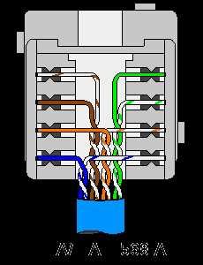 Image result for RJ45 Socket Installation