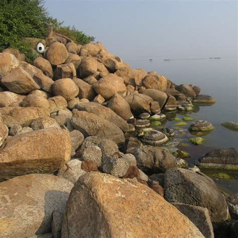 BIRDS ISLAND (2025) All You Need to Know BEFORE You Go (with Photos ...