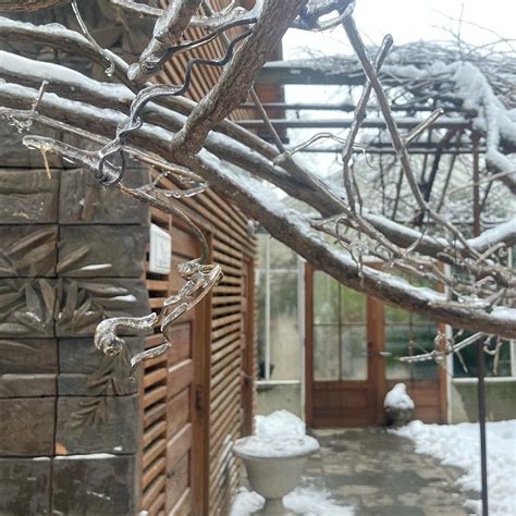 Kentucky Native Cafe (@kynativecafe) • Instagram photos and videos