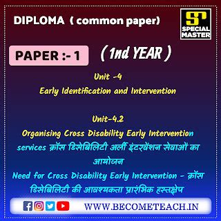 Organising Cross Disability Early Intervention services