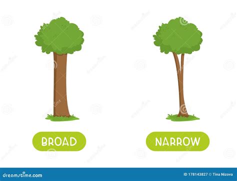 Narrow and Broad Antonyms Word Card Flat Vector Template. Stock ...