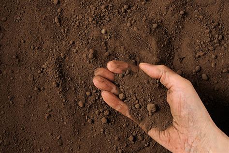 Image result for Soil Testing for Load Capacity