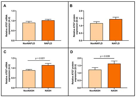 Increased Hepatic ATG7 mRNA and ATG7 Protein Expression in Nonalcoholic ...