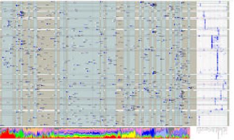 Image result for Anatogram Gene Expression