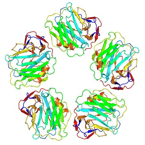 Resultado de imagen de c reactive protein zu hoch