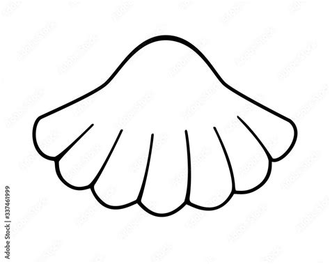 Scallop Shell Drawing 的图像结果