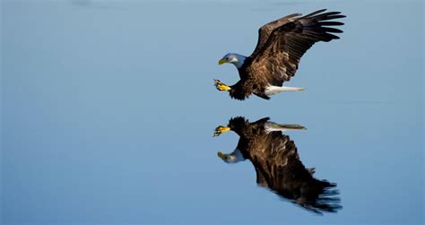 Reflection API in Java 的图像结果