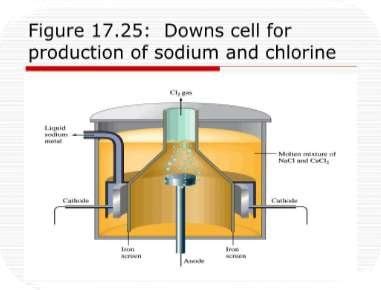 Downs Cell Diagram 的图像结果