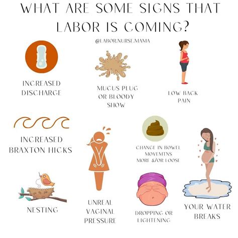 Signs Of Labor Coming