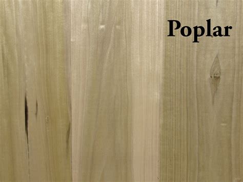 Poplar Hardwood Rough | Capitol City Lumber