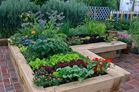 Backyard Garden Beds 的图像结果