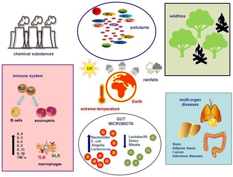 How Climate Change Is Secretly Messing With Your Gut Health
