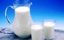 牛奶的营养价值及喝牛奶的禁忌 - 菜瓢谷