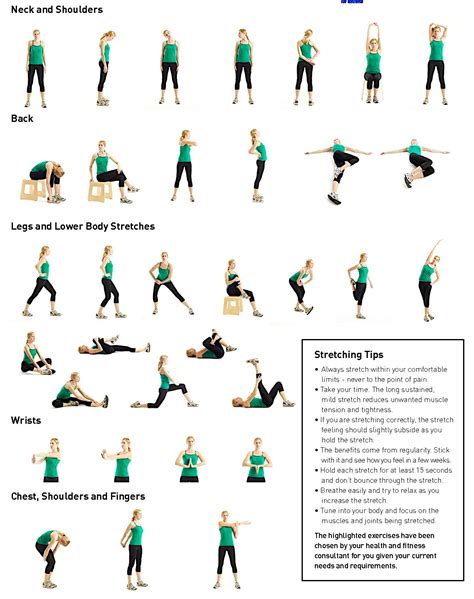 Flexibility Exercises Examples 的图像结果