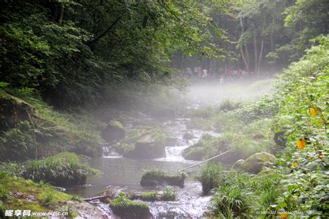 广东佛山的原生态小溪，瀑布下游泳避暑，孩子最爱的亲子户外节目_蒲坑